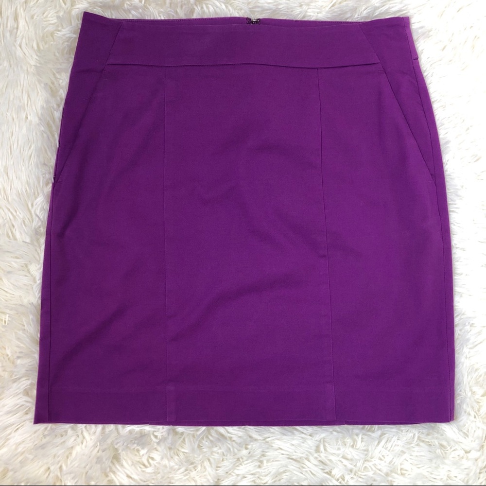 Ann Taylor Madison Skirt